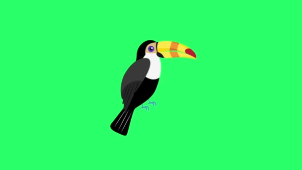 Animationsspecht Auf Grünem Hintergrund — Stockvideo
