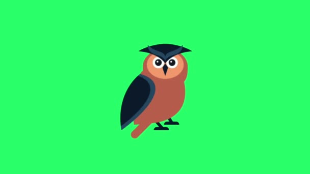 Animation Owl Green Background — Stock Video