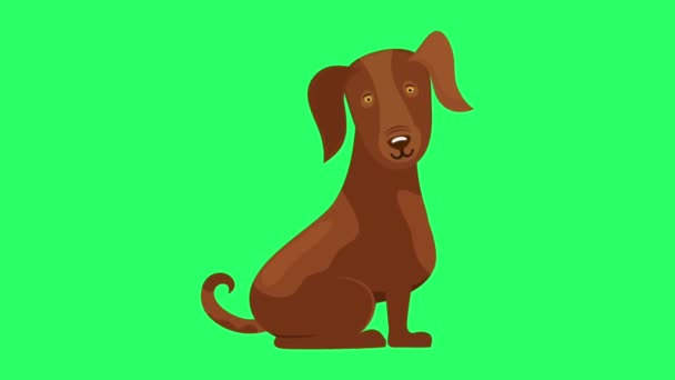 Pies Animacyjny Zielonym Tle — Wideo stockowe