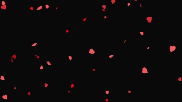 Animation Colorful Heart Shape Black Background — Stock Video
