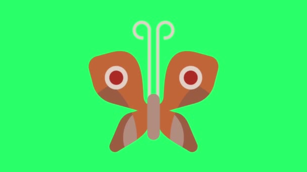 Animation Färgglada Fjäril Flygande Isolat Grön Skärm — Stockvideo