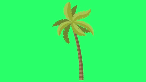 Animation Kokosnötsträd Isolat Grön Bakgrund — Stockvideo