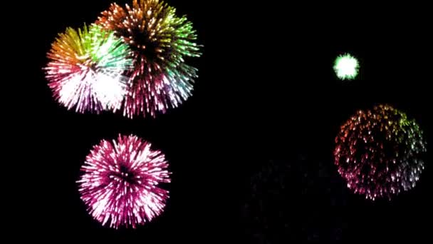 Animation Buntes Feuerwerk Auf Hintergrund — Stockvideo