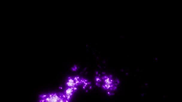 Animation Purple Flame Effect Black Background — Stock Video