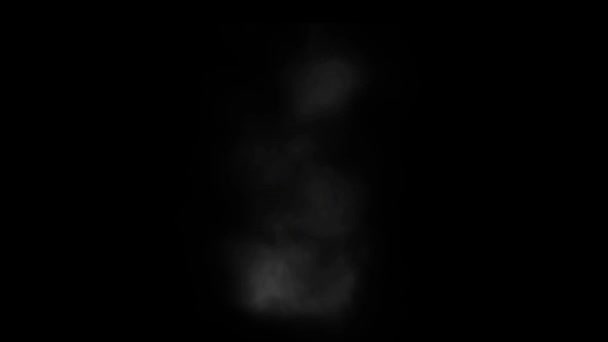 Animatie Witte Rook Effect Zwarte Achtergrond — Stockvideo