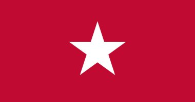 Jane Uzun Bayrak Vektörü İllüstrasyon Premium Kalitesi