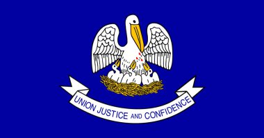 Louisiana (2006-2010) Flag Vector Illustration Premium Quality