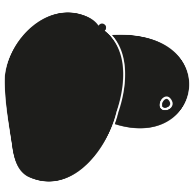 Mango Siluet Vektör Simgesi