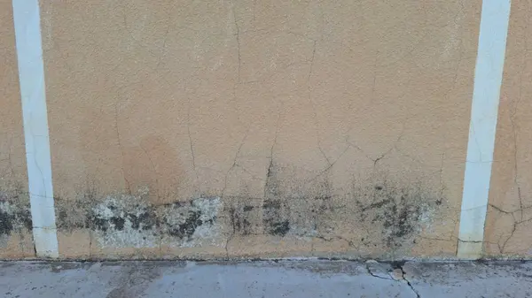 stock image Beige wall with faded paint and two white stripes on the sides. It has moisture infiltration at the bottom, with the presence of mildew, mold, and algae.