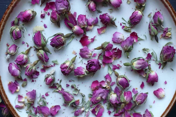 ピンクのバラの蕾を乾燥 — ストック写真
