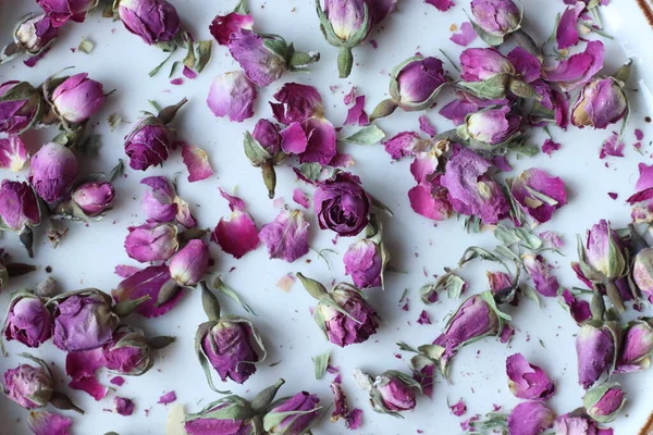 Сушені Рожеві Бутони Троянд — стокове фото