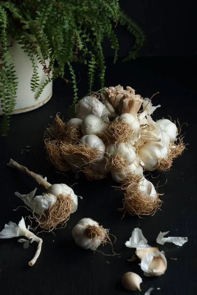 Grupo Garlics Fundo Preto — Fotografia de Stock