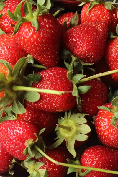 Whole Strawberry Fruits Whole Strawberries Stock Picture