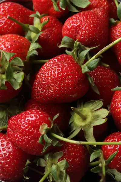 Whole Strawberry Fruits Whole Strawberries Stock Image