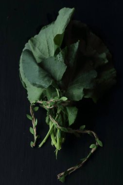 Siyah lahana, siyah arka planda lahana.