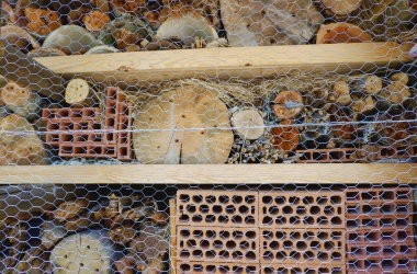 Ormandaki yabani böcek otelinin yüzeyi. Arıları koruma, ekosistem desteği ve sürdürülebilirlik için kavramsal fikir.