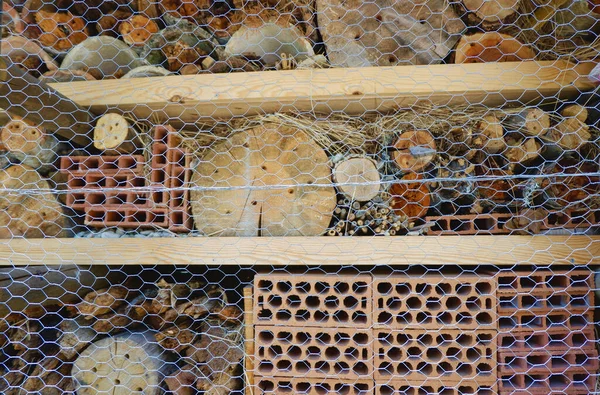 Ormandaki yabani böcek otelinin yüzeyi. Arıları koruma, ekosistem desteği ve sürdürülebilirlik için kavramsal fikir.