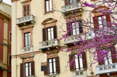 Cagliary, Sardinya, İtalya limanındaki çiçek açan pembe ağaçların arasından görünen renkli bir ön cephe..