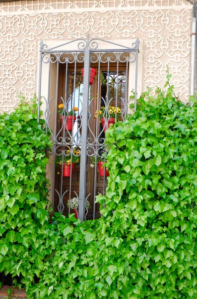 Okno Vinobraní Autentického Španělského Domu Pokrytého Břečťanem Segovii Kastilii Leonu — Stock fotografie
