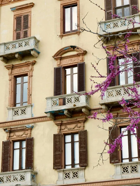 Colourful Vintage Facade Seen Blooming Pink Tree Port Cagliary Sardinia — Stock Photo, Image