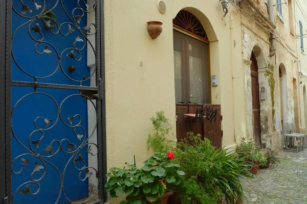 意大利撒丁岛阿尔盖罗的老式立面上关上了破旧的门 生动的绿色房子植物被用作街道上的装饰 真正的和平生活区 — 图库照片