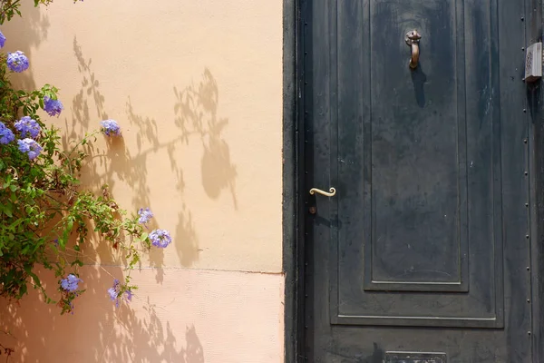 Vintage Drzwi Kolorze Czarnym Otoczony Zielenią Kwiatami Malownicza Okolica Collioure — Zdjęcie stockowe