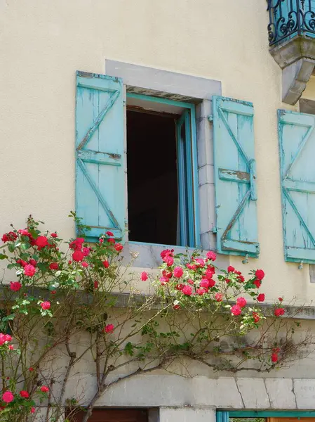 Vieille Fenêtre Avec Volets Bleus Envahis Par Une Rose Vive Images De Stock Libres De Droits