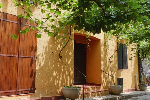 Rustic house entrance with plants and vines in rural France. Cozy countryside escape.