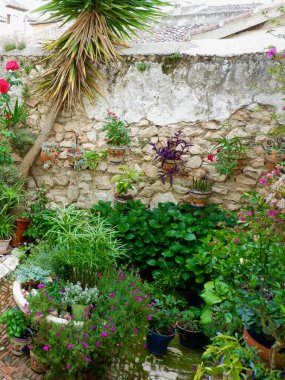 Bereketli yeşillik ve çiçek açan çiçekler, sakin bir taş avluda sergilenir, duvarları süsleyen çeşitli saksı bitkileri sergilenir, sakin bir atmosfer yaratır..