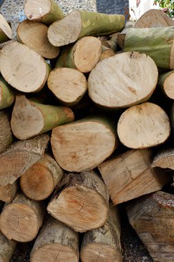 Düzgünce istiflenmiş kütüklerin yakın plan görüntüsü ham dokularını ve topraksı renklerini ortaya koyuyor, kırsal bir ortamda kışın hazırlandığını gösteriyor, doğanın maddelerini vurguluyor..