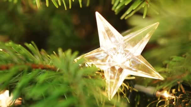 크리스마스 트리에 반짝이는 과보케 — 비디오