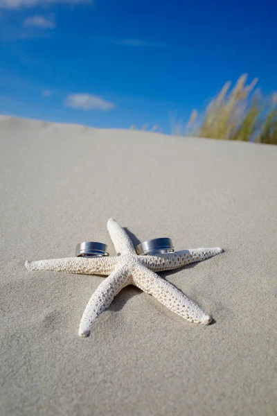 Fundo Casamento Verão Com Estrelas Mar Anéis Muito Espaço Cópia — Fotografia de Stock