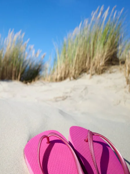 Pink Flipflops Beach — Stock Photo, Image