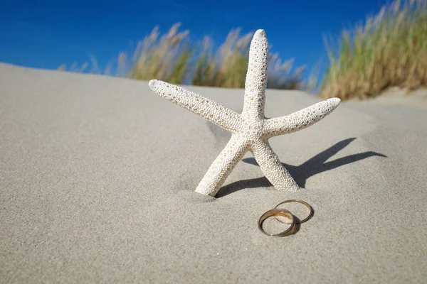 Summer Wedding Background Starfish Gold Rings — Stock Photo, Image