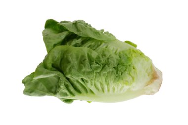 Beyaz arkaplanda yeşil marul