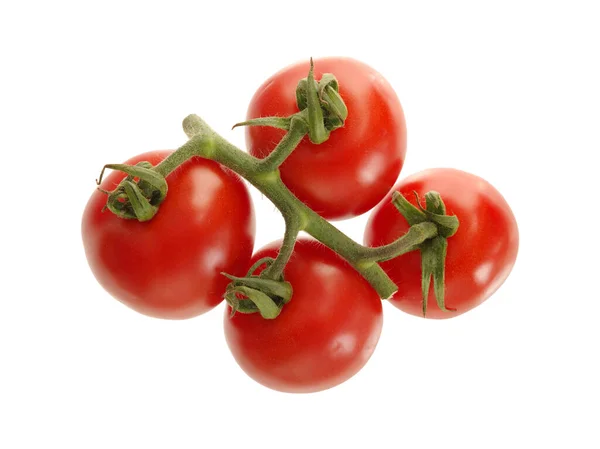 Pequenos Tomates Vermelhos Orgânicos Frescos Videira Isolados Branco — Fotografia de Stock