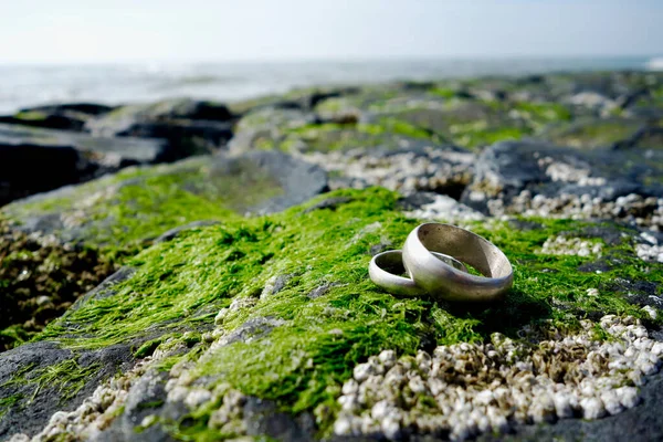 Silver Wedding Rings Rocks Shells North Sea Coast Copy Space — Stock Photo, Image