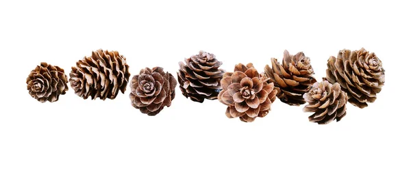 Small Pine Cones Isolated Christmas Decoration Copy Space — Stock Photo, Image