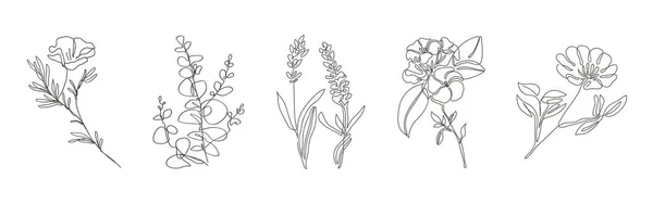Desenho Esboço Gráfico Botânico Mínimo Design Tatuagem Minúsculo Moda Arte —  Vetores de Stock