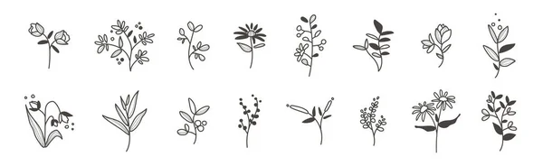 Blumenstrauß Handgezeichnetes Hochzeitskraut Minimalistische Blüten Mit Eleganten Blättern Verschiedene Handgezeichnete — Stockvektor
