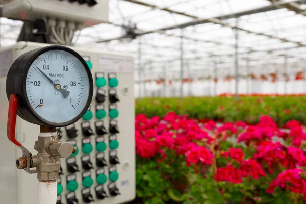 Utrustning För Bevattningssystem Ett Blomväxthus — Stockfoto