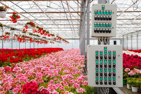 Elektrisk Bevattning Kontrollpanel Ett Modernt Växthus För Odling Blommor — Stockfoto