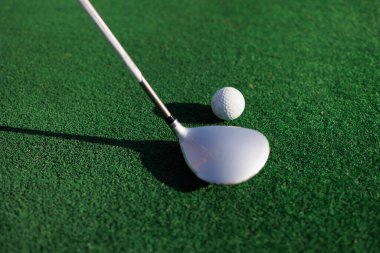 Tee Time Triumph: Çaylak Golfçünün Yakın Çekimi