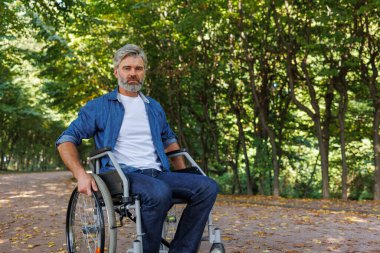 Özel Eğlence: Tekerlekli sandalyede Kullanıcı Kucaklayan Doğa