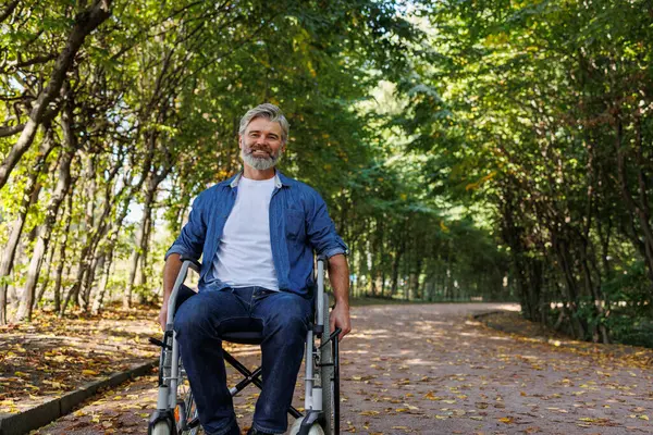 Wolność Wśród Przyrody Park Visit Wheelchair User — Zdjęcie stockowe