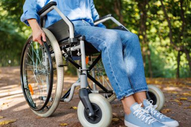 Özel Eğlence: Tekerlekli sandalye Kullanıcısı İçin Park Alanı