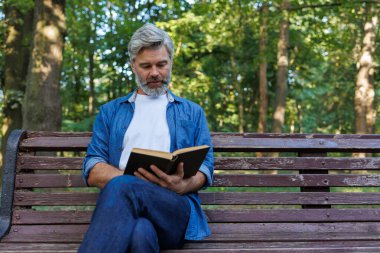 Serene Anı: Park Bench 'te Okuma