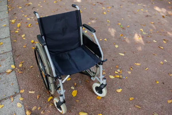 Accessible Serenity: Park Wheelchair Scene