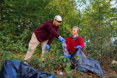 Genç adam ve kadın çevreciler ve gönüllüler ormandaki plastik şişeleri ve diğer atıkları temizliyorlar.