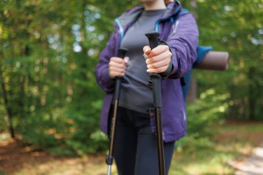 Orman boyunca kadınların el ele yürüyüş direğini tuttukları yakın plan. 